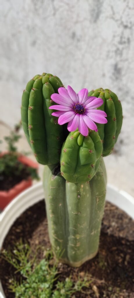 img 20230412 151349 scaled.jpg